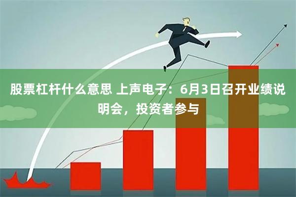 股票杠杆什么意思 上声电子：6月3日召开业绩说明会，投资者参与