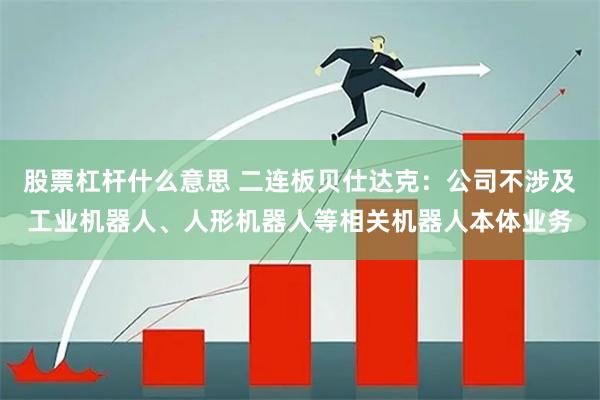 股票杠杆什么意思 二连板贝仕达克：公司不涉及工业机器人、人形机器人等相关机器人本体业务