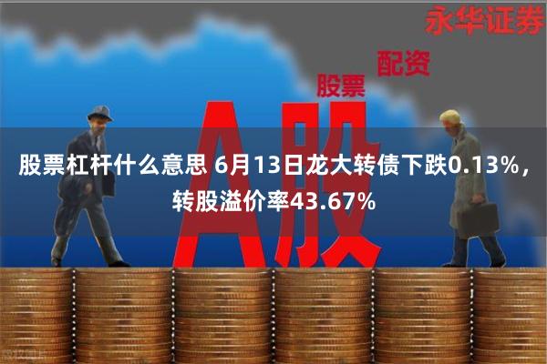 股票杠杆什么意思 6月13日龙大转债下跌0.13%，转股溢价率43.67%