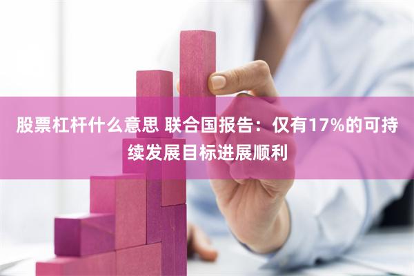 股票杠杆什么意思 联合国报告：仅有17%的可持续发展目标进展顺利