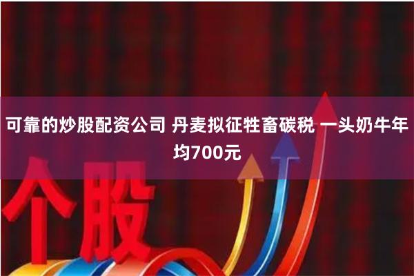 可靠的炒股配资公司 丹麦拟征牲畜碳税 一头奶牛年均700元