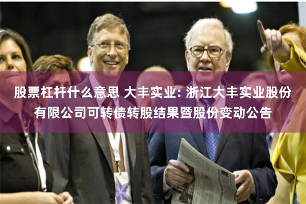 股票杠杆什么意思 大丰实业: 浙江大丰实业股份有限公司可转债转股结果暨股份变动公告
