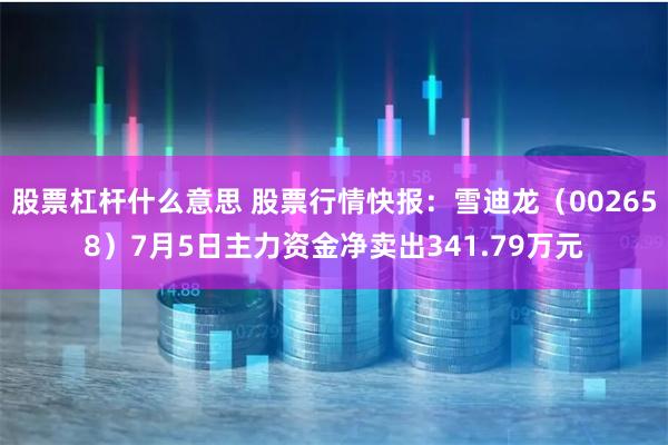 股票杠杆什么意思 股票行情快报：雪迪龙（002658）7月5日主力资金净卖出341.79万元