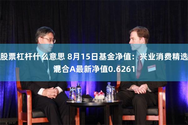 股票杠杆什么意思 8月15日基金净值：兴业消费精选混合A最新净值0.6261