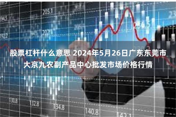 股票杠杆什么意思 2024年5月26日广东东莞市大京九农副产品中心批发市场价格行情