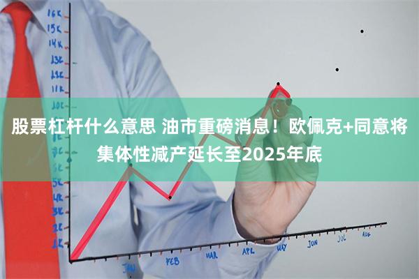 股票杠杆什么意思 油市重磅消息！欧佩克+同意将集体性减产延长至2025年底