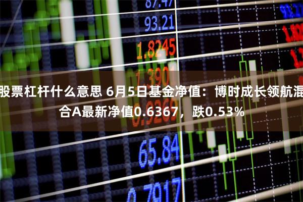 股票杠杆什么意思 6月5日基金净值：博时成长领航混合A最新净值0.6367，跌0.53%