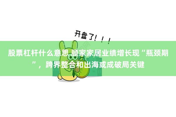 股票杠杆什么意思 顾家家居业绩增长现“瓶颈期”，跨界整合和出海或成破局关键