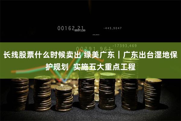 长线股票什么时候卖出 绿美广东｜广东出台湿地保护规划  实施五大重点工程