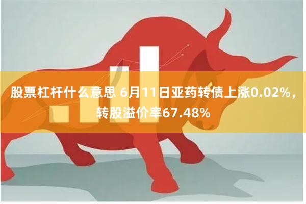 股票杠杆什么意思 6月11日亚药转债上涨0.02%，转股溢价率67.48%
