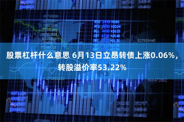 股票杠杆什么意思 6月13日立昂转债上涨0.06%，转股溢价率53.22%