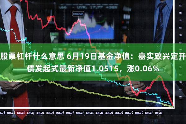 股票杠杆什么意思 6月19日基金净值：嘉实致兴定开债发起式最新净值1.0515，涨0.06%