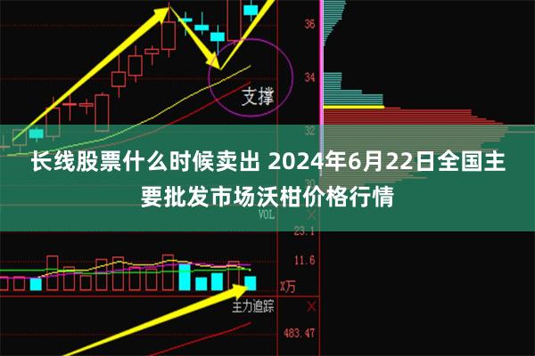 长线股票什么时候卖出 2024年6月22日全国主要批发市场沃柑价格行情