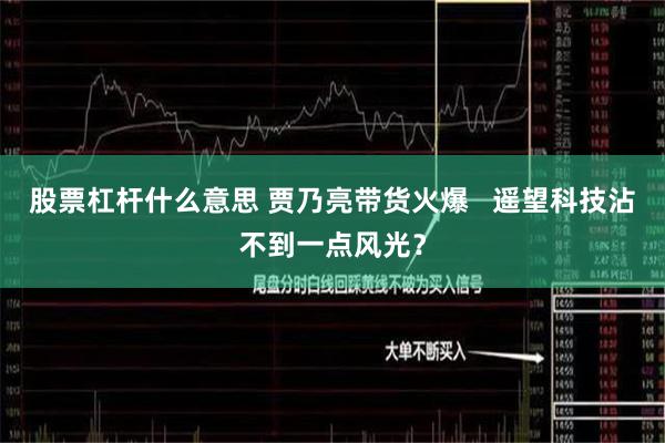 股票杠杆什么意思 贾乃亮带货火爆   遥望科技沾不到一点风光？