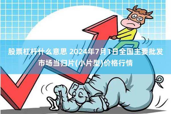 股票杠杆什么意思 2024年7月1日全国主要批发市场当归片(小片型)价格行情