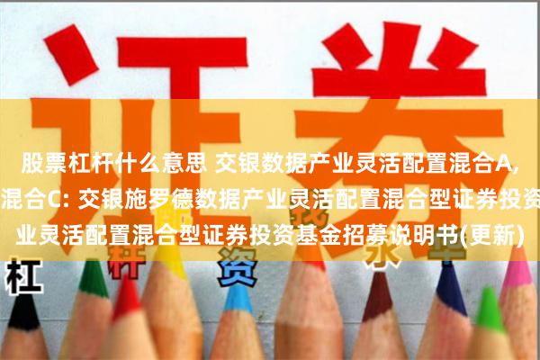 股票杠杆什么意思 交银数据产业灵活配置混合A,交银数据产业灵活配置混合C: 交银施罗德数据产业灵活配置混合型证券投资基金招募说明书(更新)