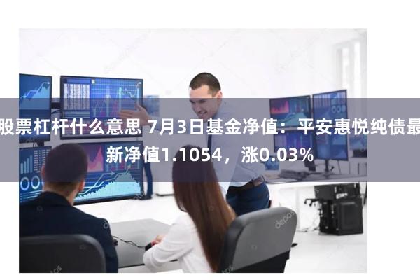 股票杠杆什么意思 7月3日基金净值：平安惠悦纯债最新净值1.1054，涨0.03%