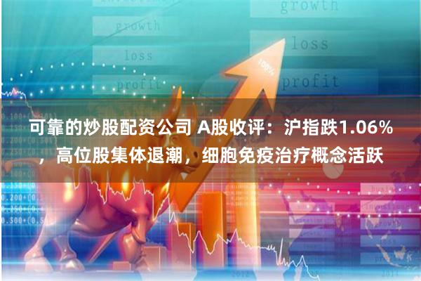 可靠的炒股配资公司 A股收评：沪指跌1.06%，高位股集体退潮，细胞免疫治疗概念活跃