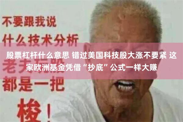 股票杠杆什么意思 错过美国科技股大涨不要紧 这家欧洲基金凭借“抄底”公式一样大赚