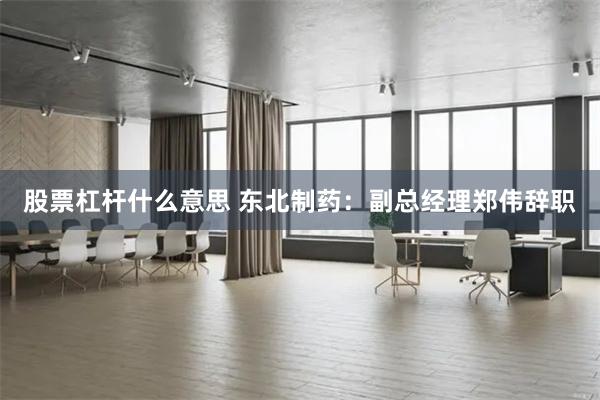 股票杠杆什么意思 东北制药：副总经理郑伟辞职