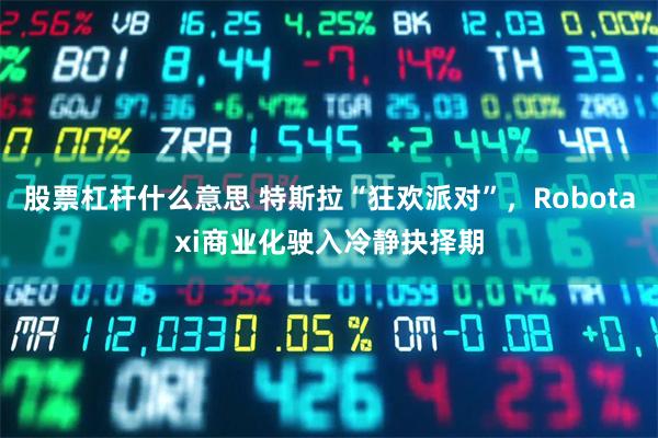 股票杠杆什么意思 特斯拉“狂欢派对”，Robotaxi商业化驶入冷静抉择期