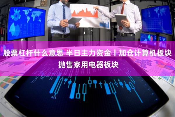 股票杠杆什么意思 半日主力资金丨加仓计算机板块 抛售家用电器板块