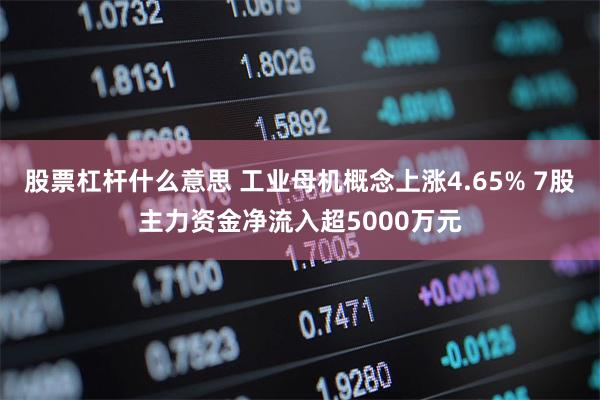 股票杠杆什么意思 工业母机概念上涨4.65% 7股主力资金净流入超5000万元