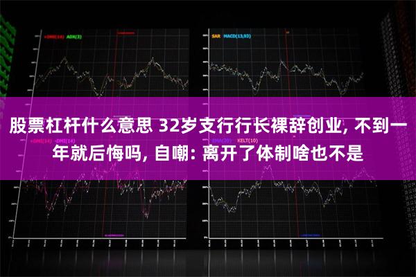 股票杠杆什么意思 32岁支行行长裸辞创业, 不到一年就后悔吗, 自嘲: 离开了体制啥也不是