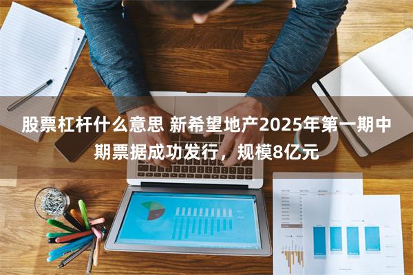 股票杠杆什么意思 新希望地产2025年第一期中期票据成功发行，规模8亿元