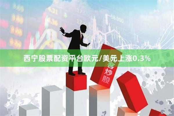 西宁股票配资平台　　欧元/美元上涨0.3%
