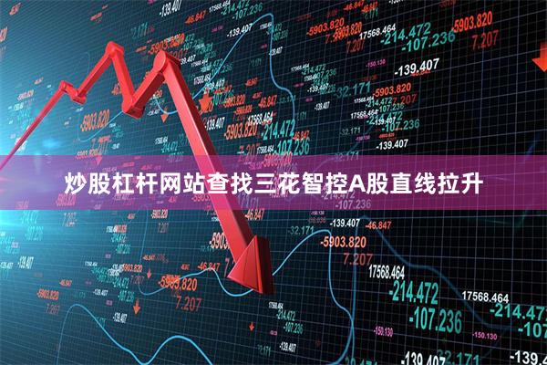 炒股杠杆网站查找三花智控A股直线拉升